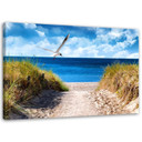 Canvasbillede, Vejen til stranden og en måge