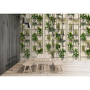 Fotomural Paredes de Patel 3 Plant Shop 2 verde, beige, gris