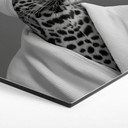Sekskantet Billede Royale Spa time-out med leopard - Rahner - aluminium dibond