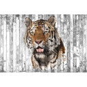 Architects Paper Papier peint photo Atelier 47 Polygon Tiger  
