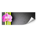 Zelfklevende Poster Orchid and Bamboo