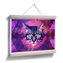 Plakat Nerdy Cat