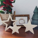 Décoration flocon de neige noël