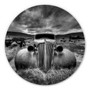 Tableau en alu-Dibond Schlipf - Trop vieille pour rouler - Rond