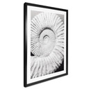 Plakat Fossil shell - Nakręcony przez Clinta