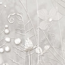 Bloemen Fotobehang - planten in wit in een modern ontwerp - Ms Tiff