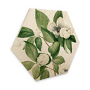 Hexagon Holzbild Botanik Illustration einer Scheinkamelie - Walcott