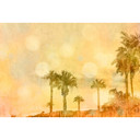 Livingwalls papier peint photo ARTist Palm Oasis avec palmiers jaune, orange