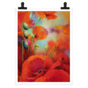 Plakat Schmucker - Makowe marzenie