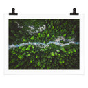 Plakat Murko - Matka Natura