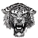Obraz z okna Miami Ink Tiger czarno-biały