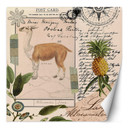 Fototapete, Shabby Chic Stil Lama Natur Abstraktion Tropisch - Andrea Haase
