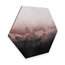 Hexagone - Alu-Dibond - Fredriksson - Ciel rose