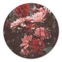 Tableau sur alu-Dibond Annie - Fleurs d'été - Rond