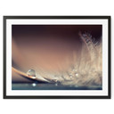 Plakat Historia kropli wody - Dmitry