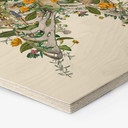 Hexagone - Bois Frida Floral Studio - Thorax Floral