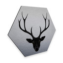 Hexagone - alu-Dibond - Effet argenté - Ireland - Cerf noir
