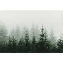 Livingwalls papier peint photo ARTist Mountain Forest
