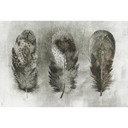 Architects Paper Papier peint photo Atelier 47 Motley Feather avec plumes gris, noir