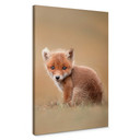 Obraz na płótnie van Duijn - Baby fox