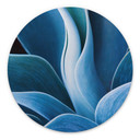 Tableau sur alu-Dibond rond Wechsler - Plantes d'agave 