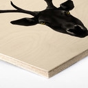 Hexagone - Bois placage de bouleau Ireland - Cerf noir