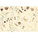 Architects Paper Papier peint photo Atelier 47 Bird Poetry motif animalier