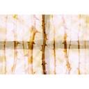Architects Paper Papier peint photo Atelier 47 Thorn Art Nature