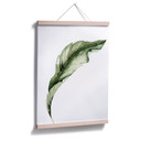 Plakat Kvilis - Banana Leaf 02