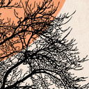 Fototapeta zimowy poranek w brzoskwiniowych kolorach - Kubistika