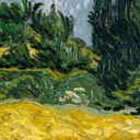 Van Gogh - Fototapeta pole pszenicy z cyprysami