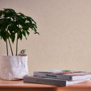 Einfarbige Vliestapete Creme - Tapete Putzoptik - Unitapete Strukturtapete Wohnzimmer Büro