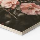 Hexagone - Bois Annie - Rosier