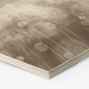 Zeshoekige Houten Wanddecoratie paardenbloemen droom in beige - Ms Tiff