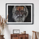 Plakat Kuesta - Duchowość sadhu w Indiach