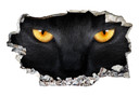 3D Wallsticker kattens øjne