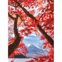 Samejima - Fotomural de hojas rojas - 192x260 cm