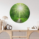 Muursticker rond Sunny Forest