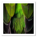 Canvasbillede, Fjer natur