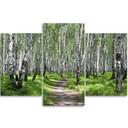 3 stykke lærredstryk, Birch Forest Nature