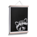 Plakat Graves - Racoon