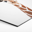 Hexagon Dibond Sisi & Seb - Baby Giraffe