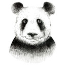 Sticker mural Kvilis - Panda