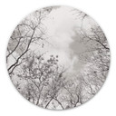 Tableau en alu-Dibond Cimes des arbes dans le ciel - Rond