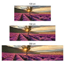 Stænkplade til køkken - Alu-Dibond - Lavendelblomst i Provence