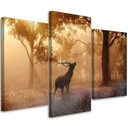 3 stykke lærredsprint, Deer Forest Sunrise Nature