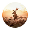 Plakat Majestic Stag - okrągły