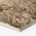 Hexagone - Bois Annie - Herbes