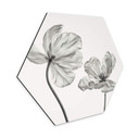 Hexagon Dibond Grønkjær - Tulpen