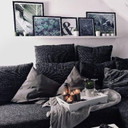 Plakat sukulenty